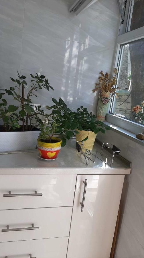 Newly Renovated House Apartment Tbilisi Exterior foto