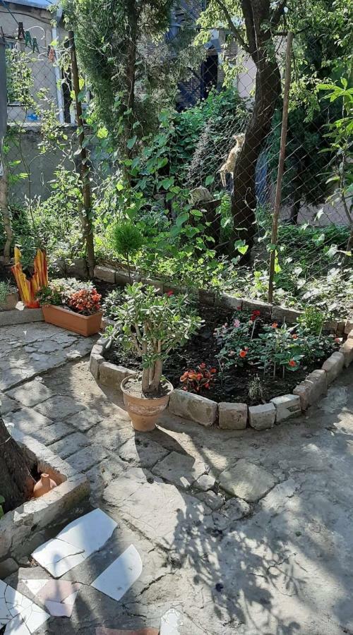 Newly Renovated House Apartment Tbilisi Exterior foto